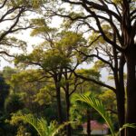 Trees For Protection