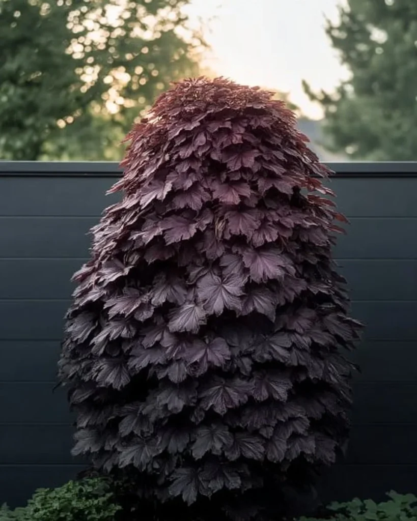 Fast-growing bushes for backyard privacy and garden enhancement