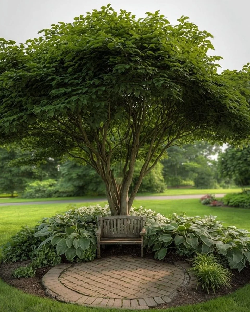 Inspiring Tree Island Landscaping ideas showcasing unique outdoor designs.
