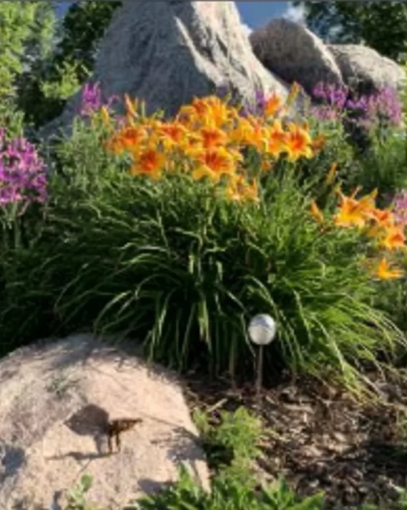 14 tough perennials thriving in a vibrant garden setting