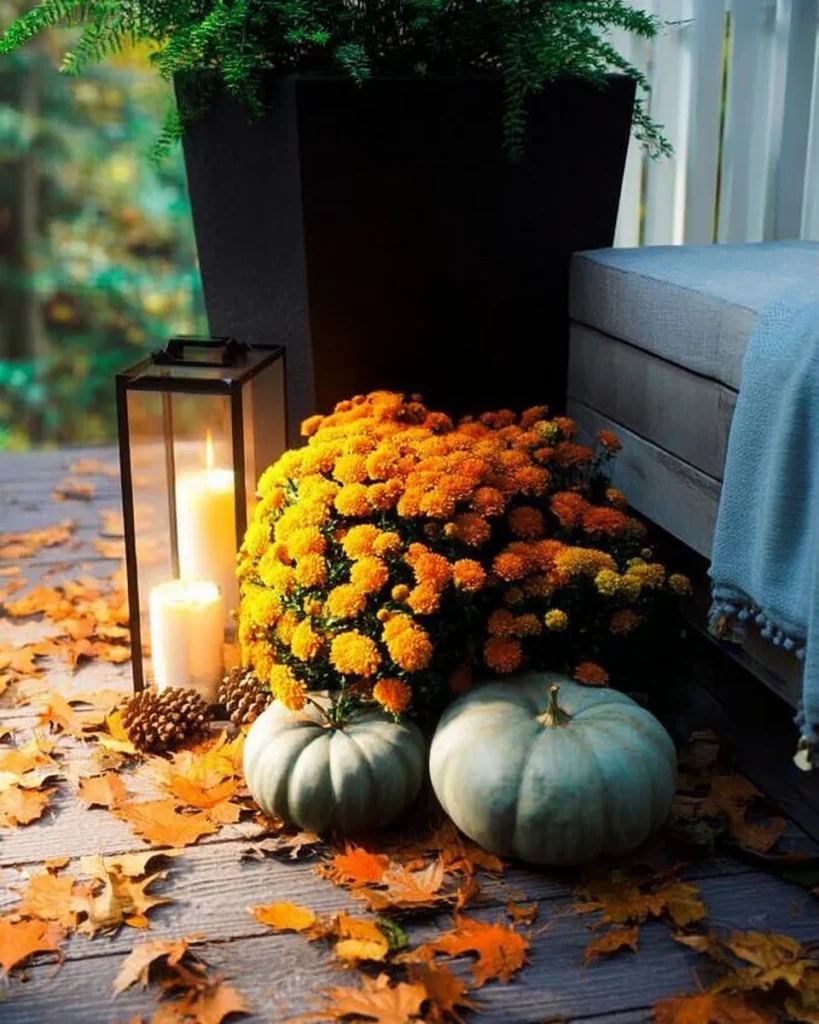 Beautiful home garden decorated with colorful mums for a vibrant outdoor look.