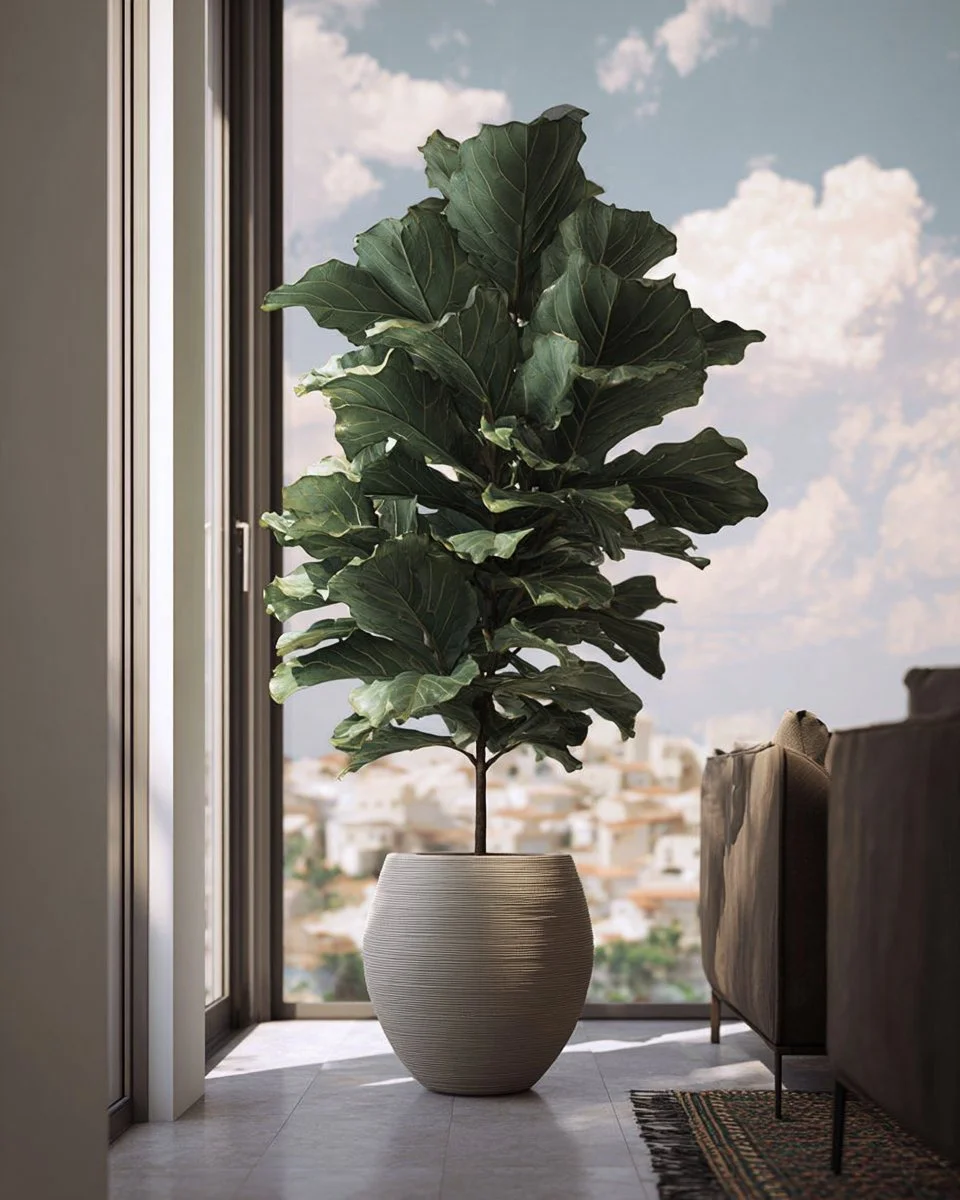 20 best plants for enhancing indoor decor and bringing greenery indoors