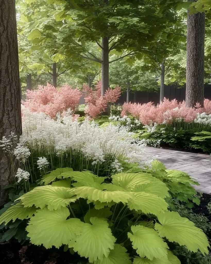 A variety of vibrant perennials that thrive in shady garden areas.
