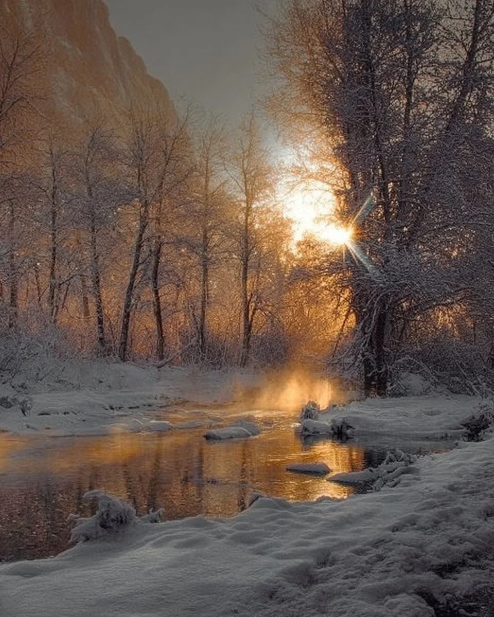 Beautiful snowy scenes showcasing winter landscapes without the cold