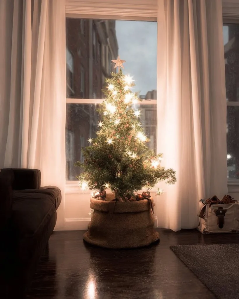 Potted Christmas tree decorated for the holiday season