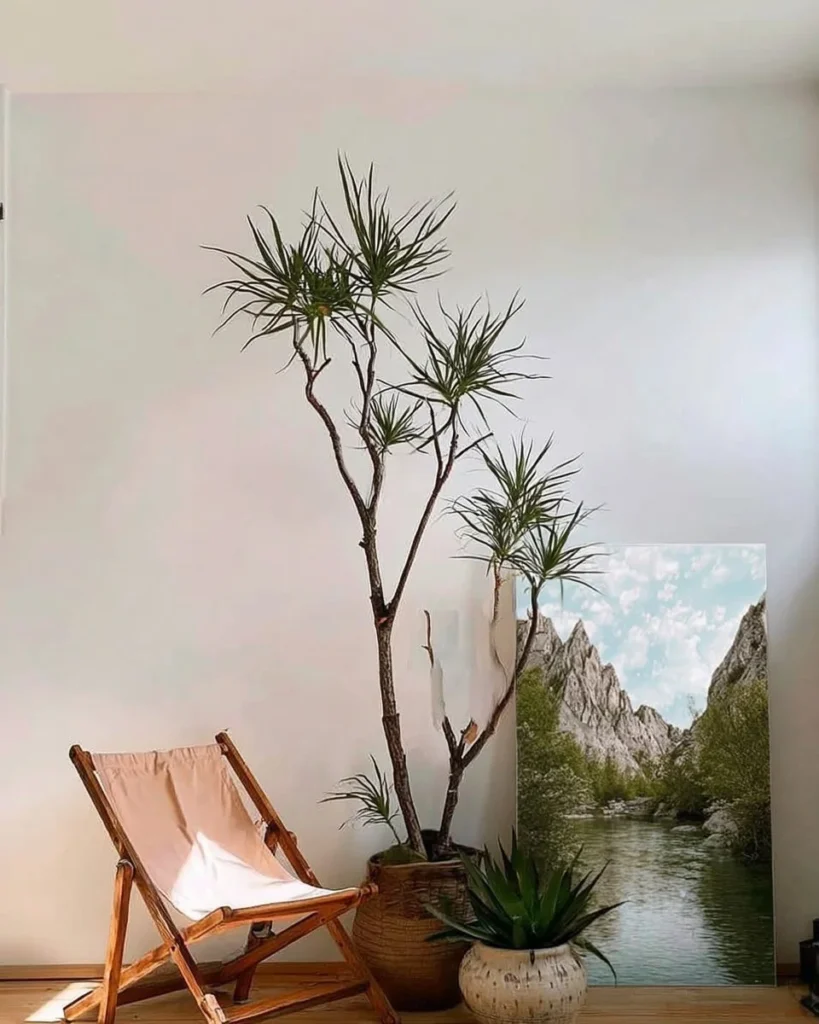 Three new low-maintenance plants for easy home gardening