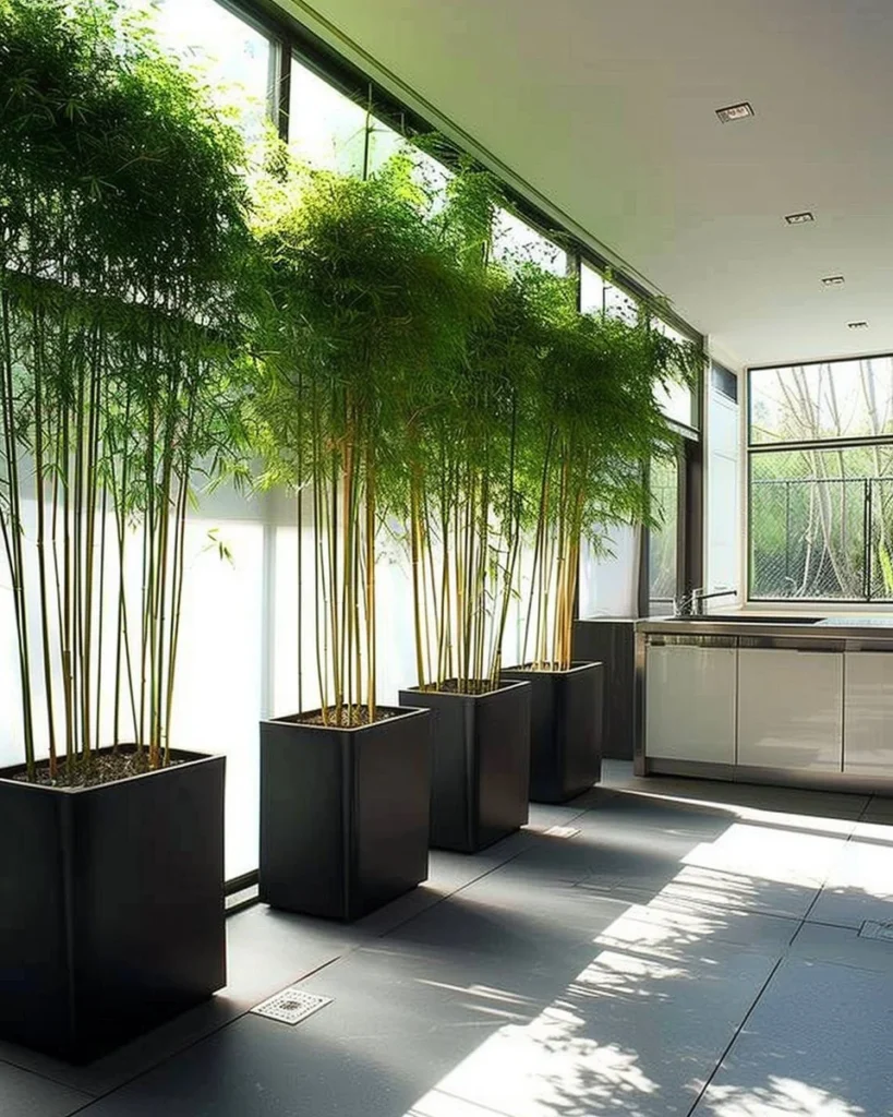 Stylish kitchen decor featuring various indoor plants for a vibrant look.