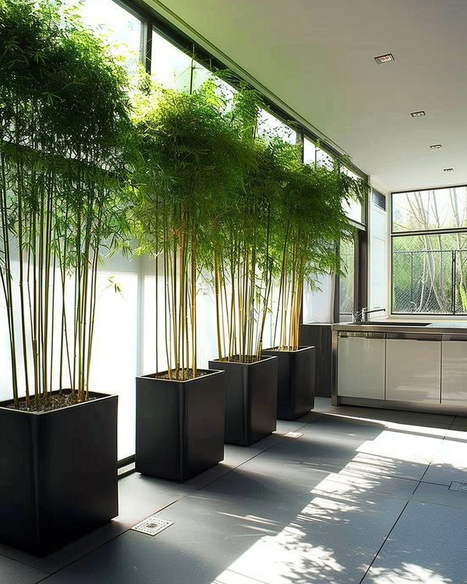 Stylish kitchen decor featuring various indoor plants for a vibrant look.