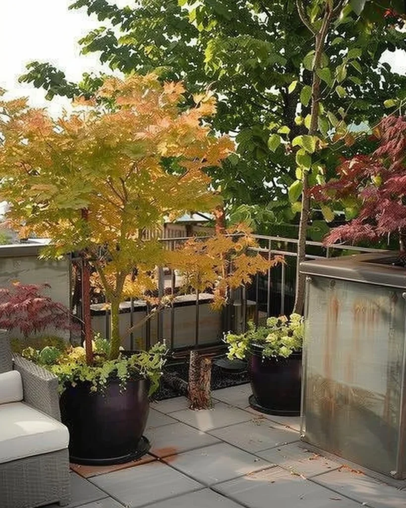 Top trees to grow in containers for gardens and patios