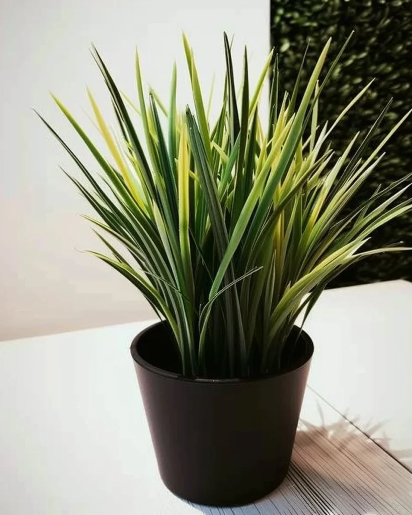 11 best houseplants for beginners displayed in a bright indoor setting