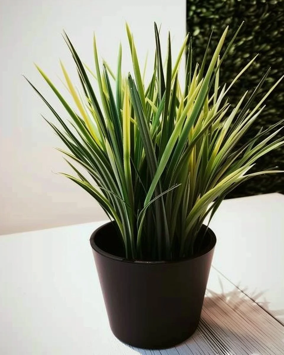 11 best houseplants for beginners displayed in a bright indoor setting
