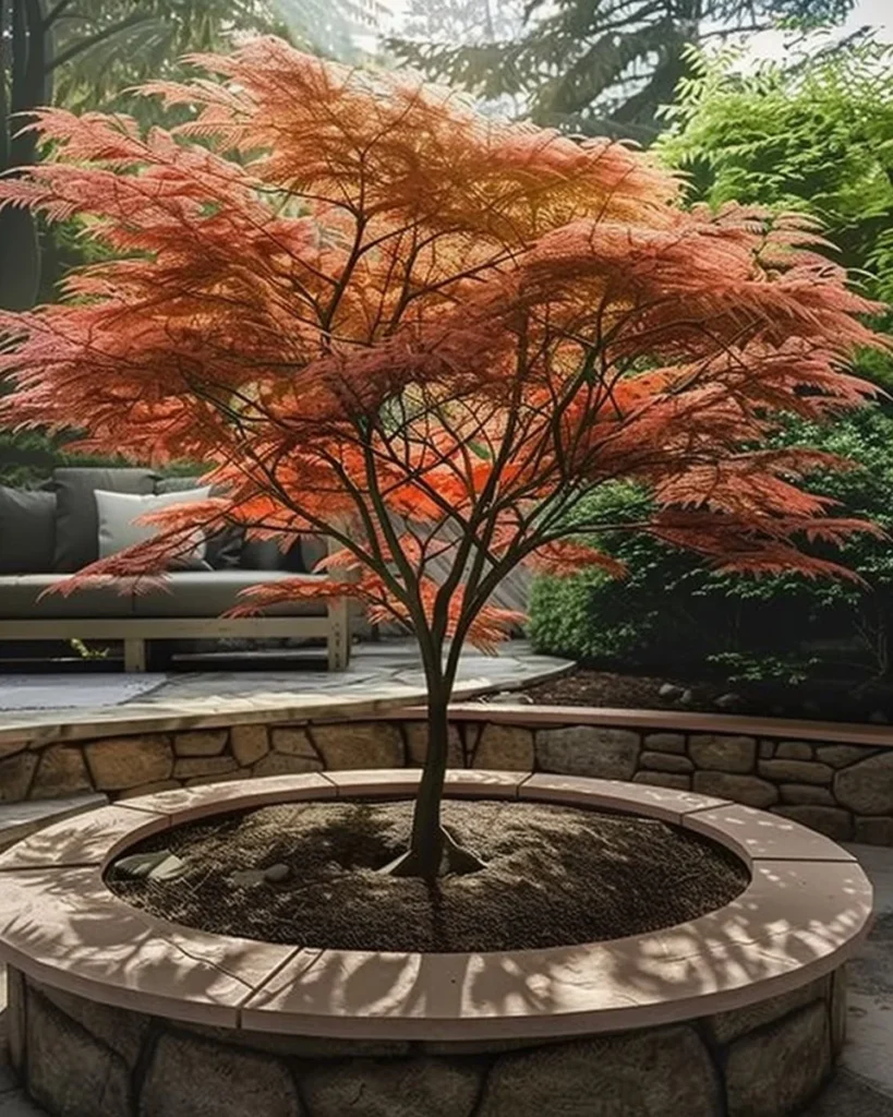 12 beautiful trees ideal for small backyards, enhancing outdoor spaces.