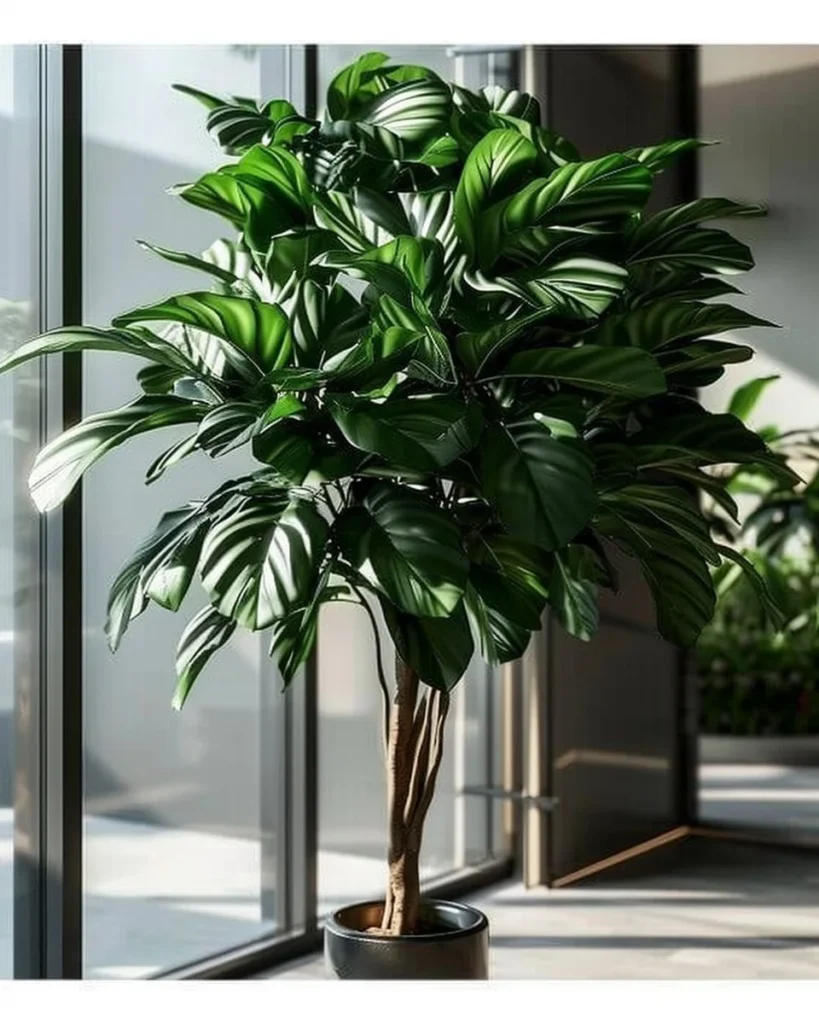 15 indoor plants that clean and purify your indoor air naturally