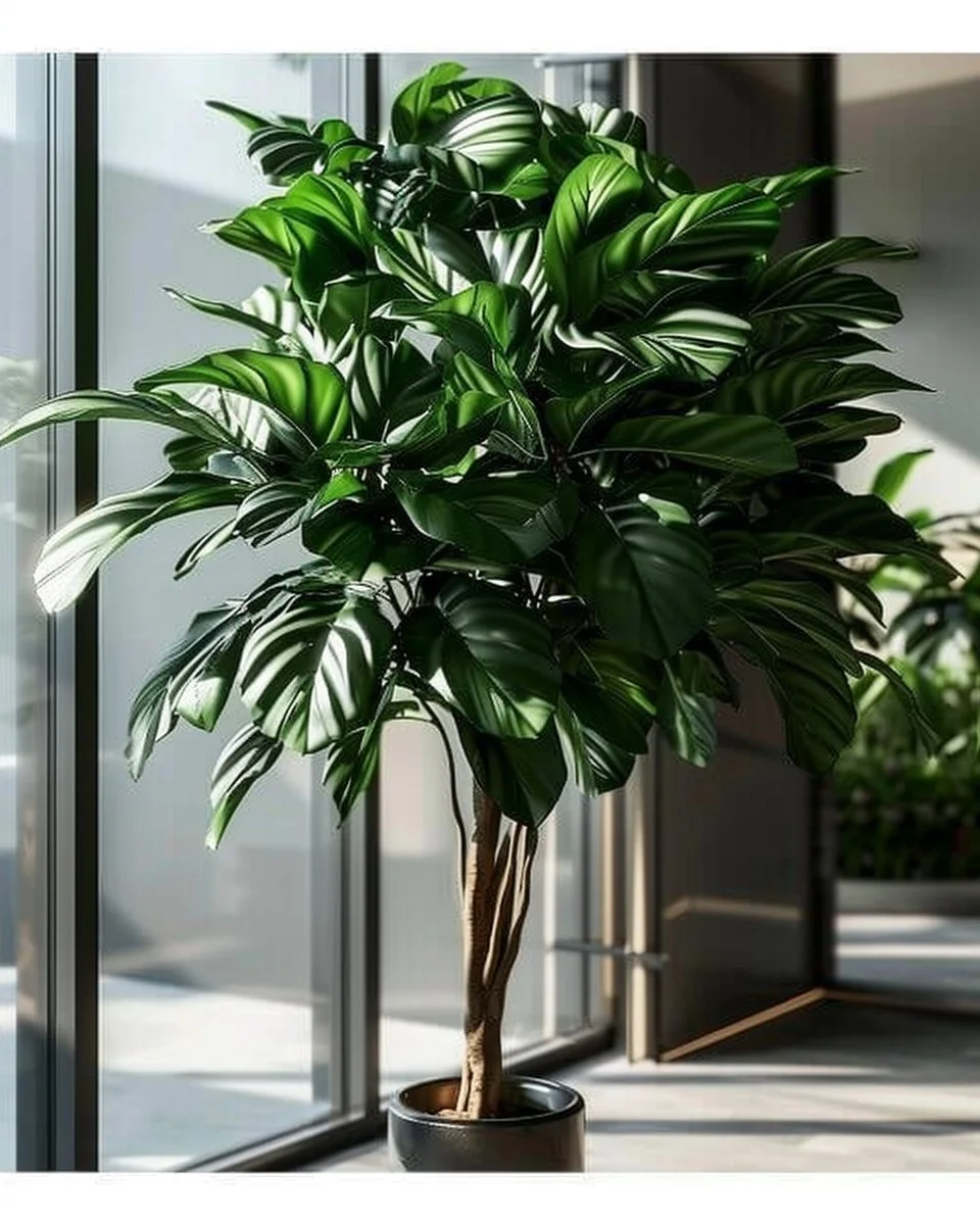 15 indoor plants that clean and purify your indoor air naturally