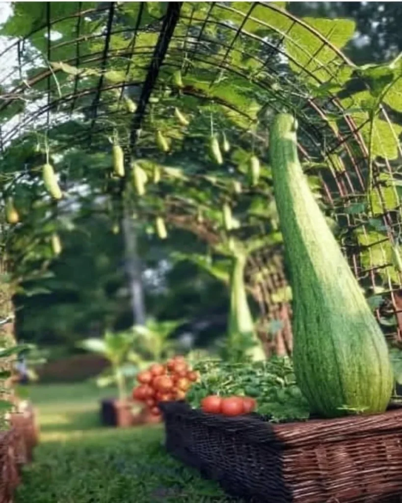 20 easy DIY gardening ideas featuring home-grown vegetables