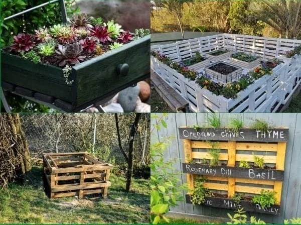 Creative upcycling ideas for the garden using everyday household items.