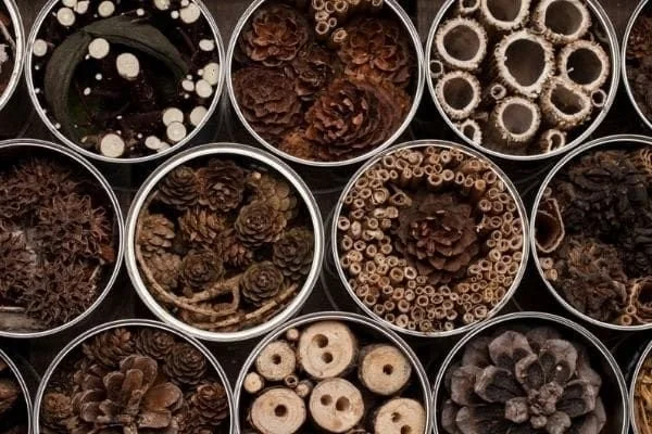 25 Everyday Things You Can Upcycle in the Garden