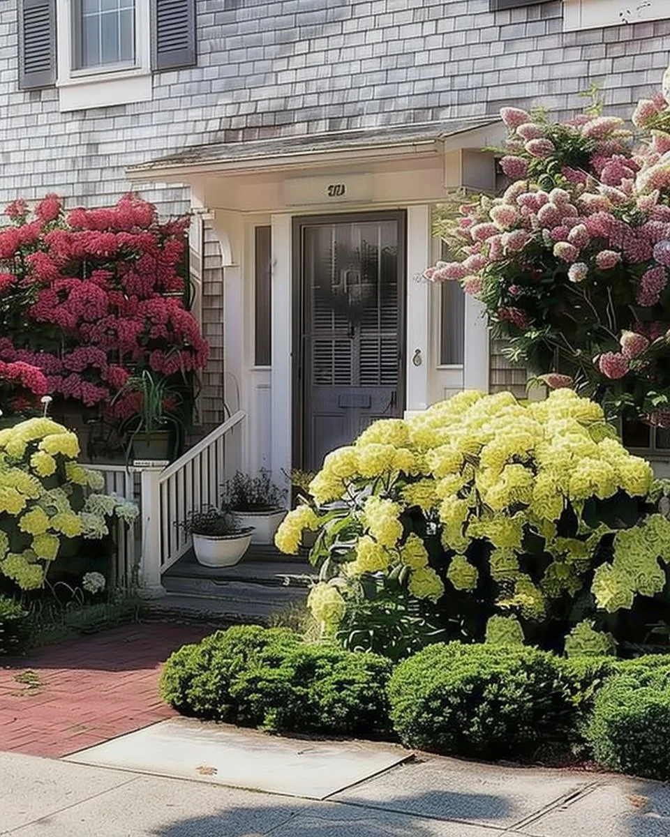 Low maintenance shrubs in a front yard to enhance curb appeal