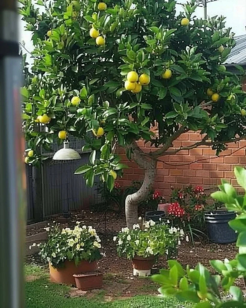 A picturesque cottage garden brimming with vintage flowers and charming decor.