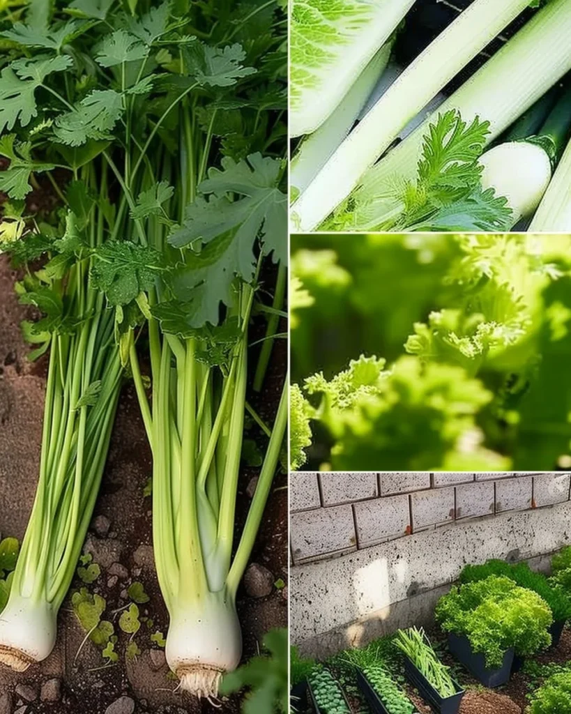 List of 20 vegetables that regrow year after year for sustainable gardening.