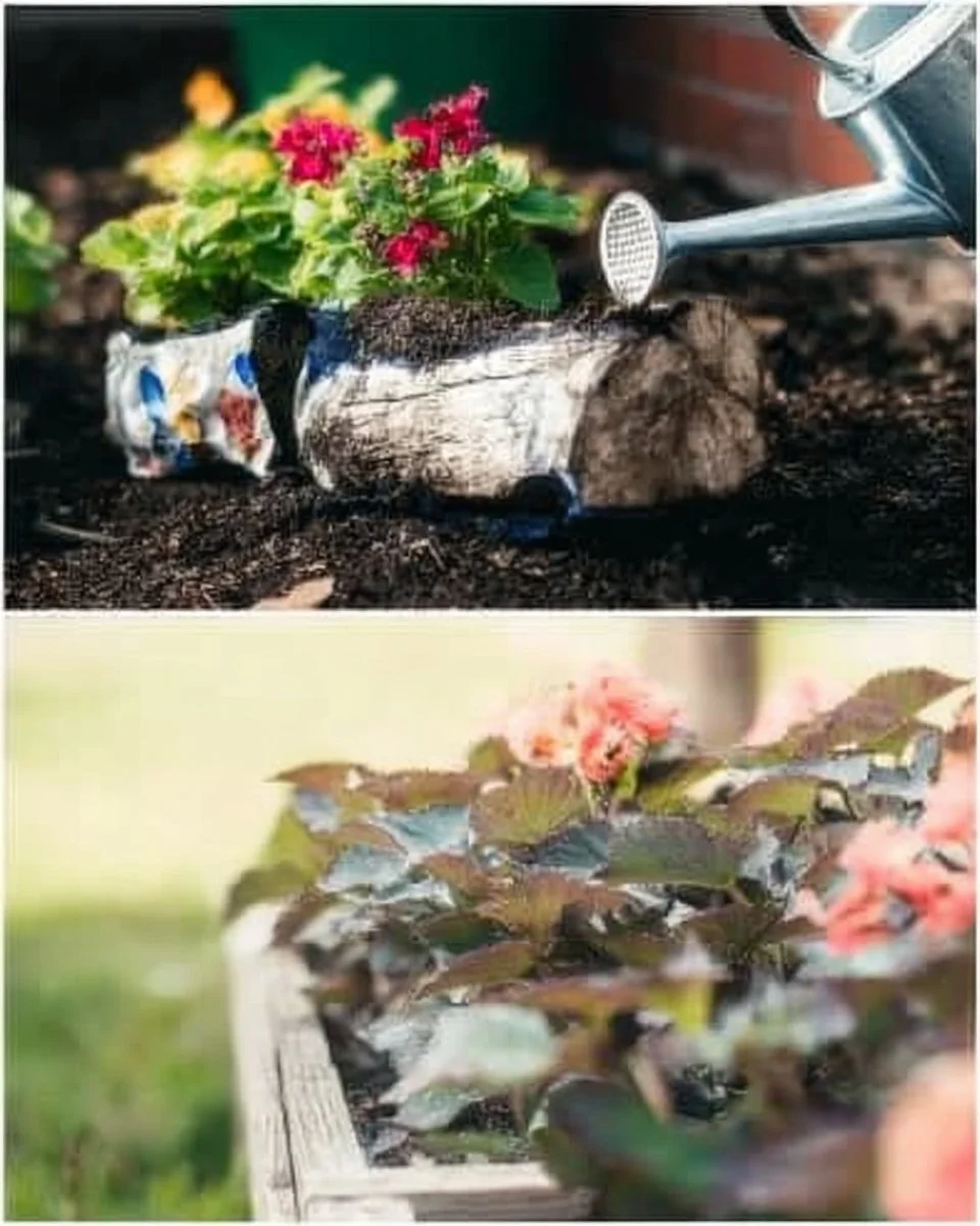 Innovative gardening hacks and tips for a thriving garden