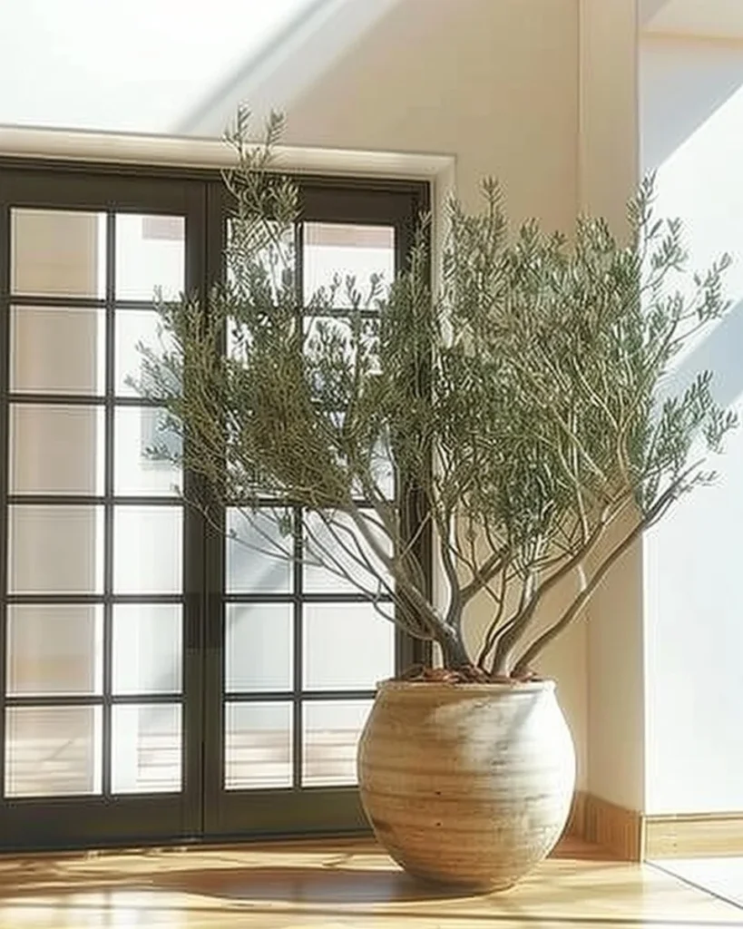 10Ft tall faux olive tree with realistic texture in a potted arrangement
