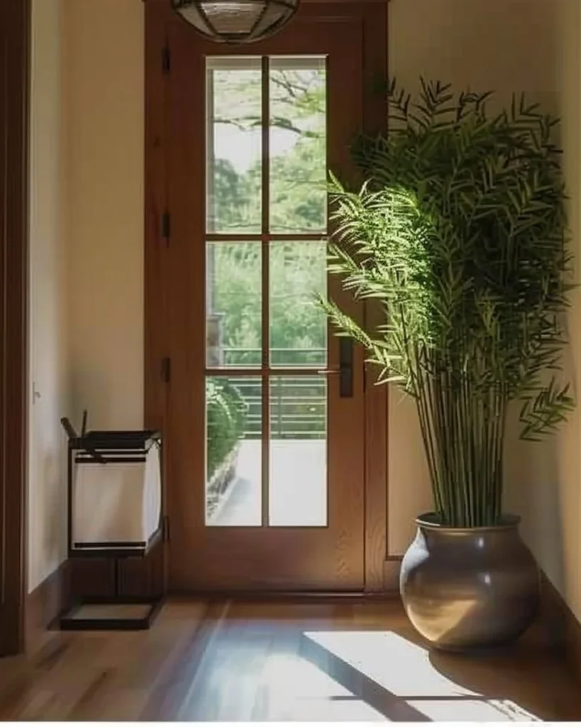 Beautiful Echeverias displayed in a vibrant garden arrangement.