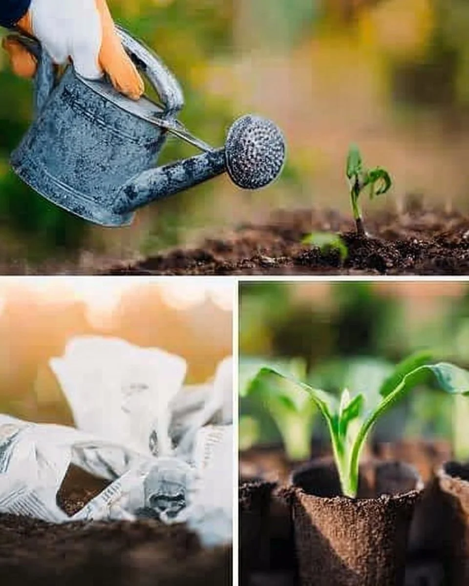 30 Best Gardening Hacks To Make Your Garden Thrive All Year Long