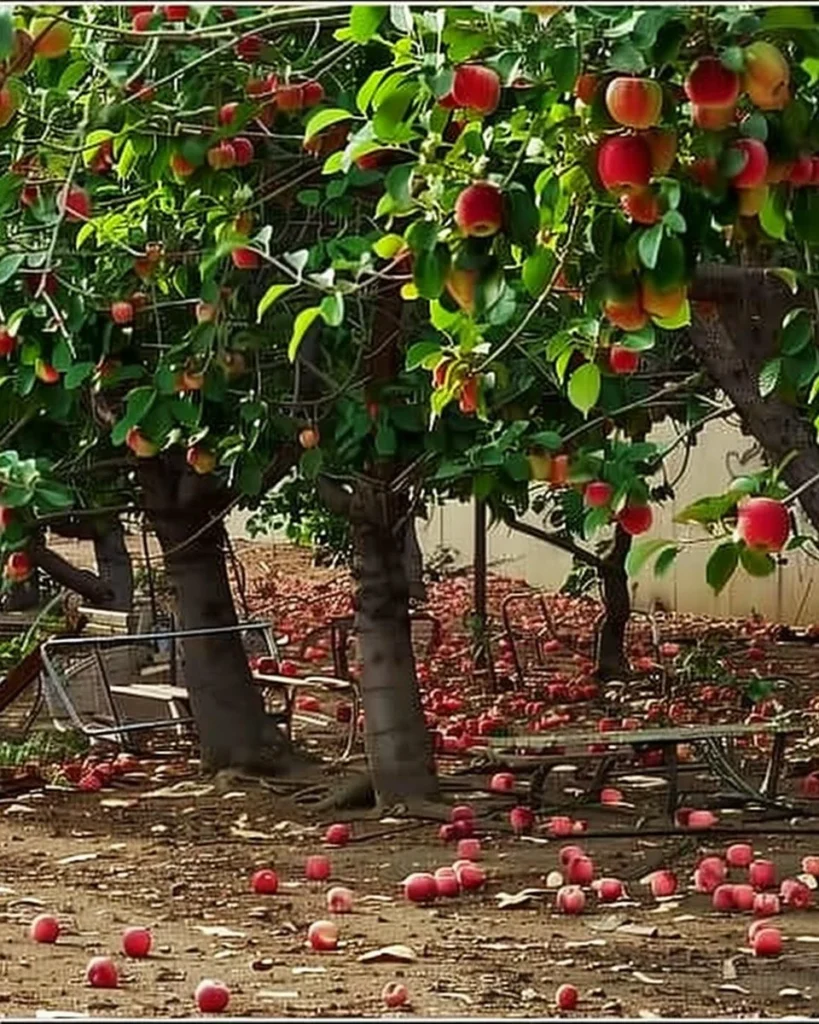 Nine fruit trees suitable for a backyard orchard with lush fruits