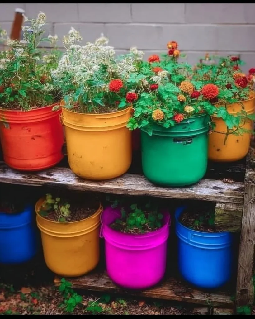 Beginner planting in a 5-gallon bucket garden for small space gardening