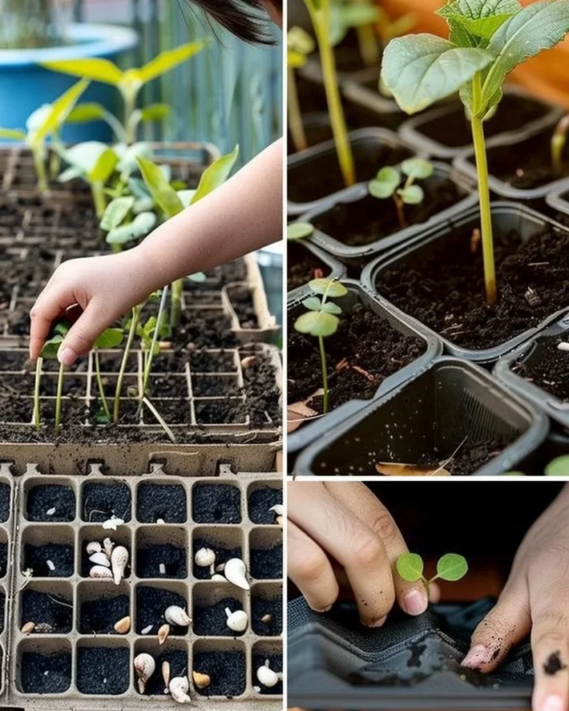 Planting seeds indoors for a successful garden start